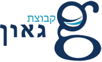 קבוצת גאון